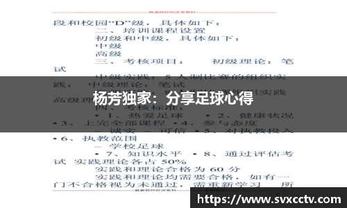 杨芳独家：分享足球心得